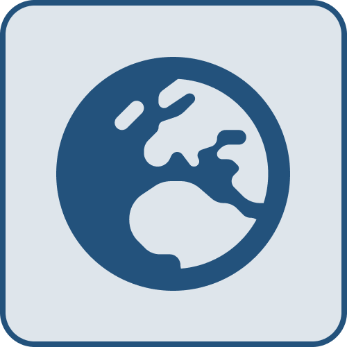 globe icon